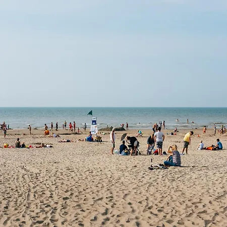 Cozy Dune House Near Koksijde, Cleaning Included Holiday home